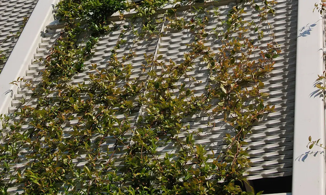 Detail der grünen Fassade mit blühenden Pflanzen